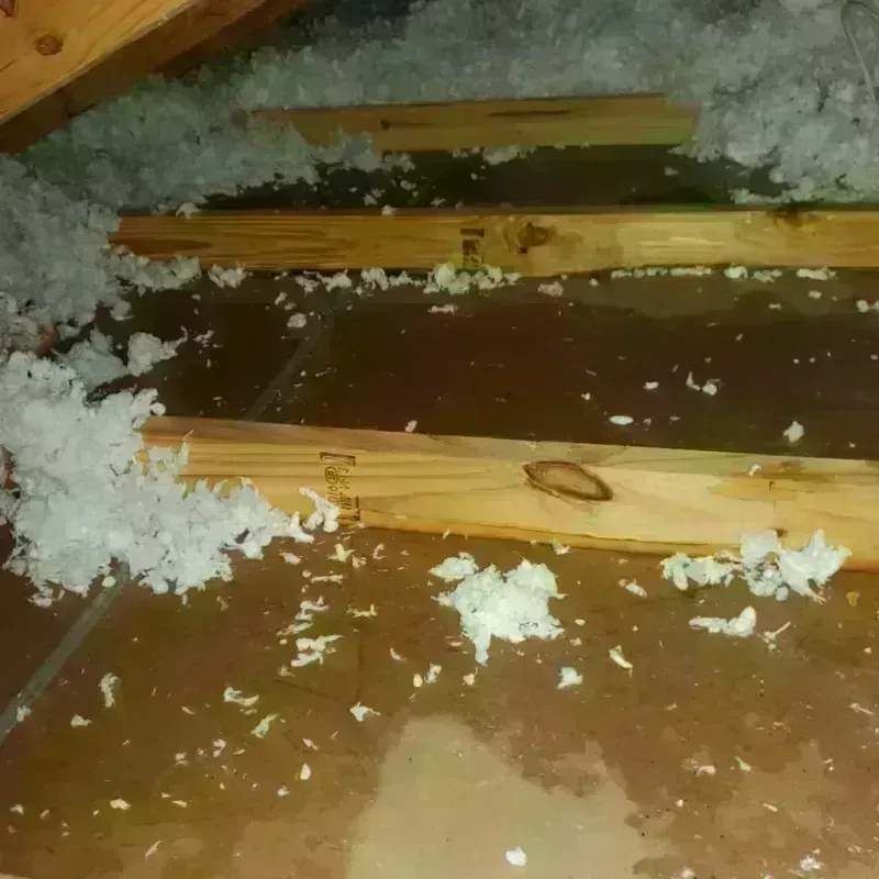 Attic Water Damage in Rockingham County, VA